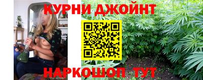 PSILOCYBIN Гатчина