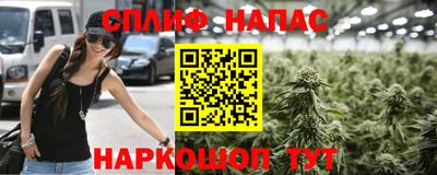 a pvp Гай