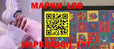 PSILOCYBIN Гатчина