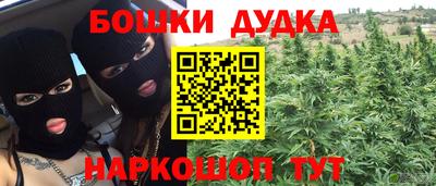 PSILOCYBIN Гатчина