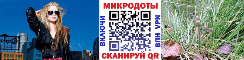 Галлюциногенные грибы Cubensis Муром