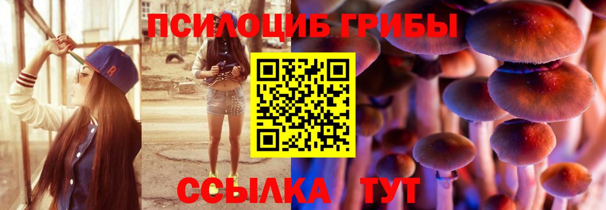 Галлюциногенные грибы Magic Shrooms Муром