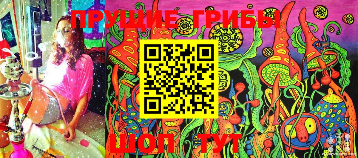 Галлюциногенные грибы Magic Shrooms  Вход с VPN  Галлюциногенные грибы GOLDEN TEACHER  Муром 